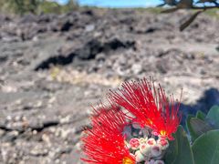 -夏威夷火山国家公园