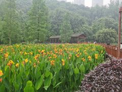 -重庆彩云湖湿地公园