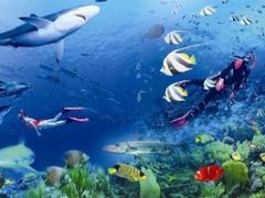 -芜湖新华联大白鲸海洋公园