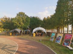 -太阳岛度假酒店