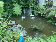 -东莞植物园