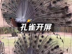 -深圳野生动物园