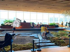 -Seesaw Coffee(朝阳大悦城店)