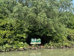 -大湾区中央湿地公园