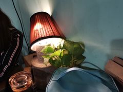 -八十八粉儿(尚都店)
