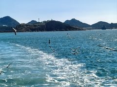 -海驴岛(荣成市)
