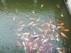 -鸿一饭店(隐秀路店)