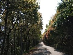 -雨花胜境