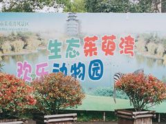 -扬州市茱萸湾风景区
