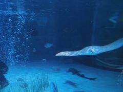 -沈阳海洋探索中心