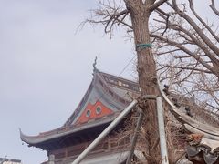 -上海财神庙