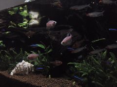 -Together·泰式按摩精油SPA(天山店)