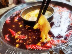 鲜鸭肠-重庆渝达老火锅(春熙路店)