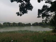 -上海市保健医疗中心