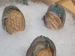 八头鲍-滋粥楼·顺德菜(番禺广场总店)