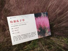 -羊亭河湿地公园