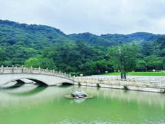 -阳台山森林公园