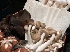 菌菇拼盘-湊湊火锅·茶憩(打浦桥日月光店)