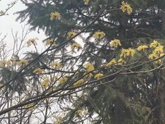 -宝山国家矿山公园