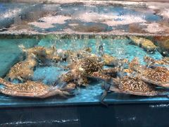 -阿伟海鲜楼·福建菜(延寿店)