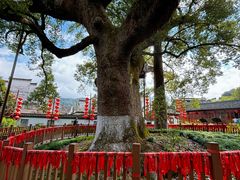 -新安江山水画廊风景区