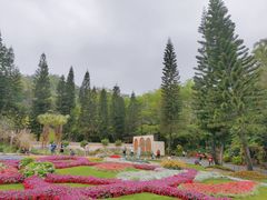 -深圳仙湖植物园
