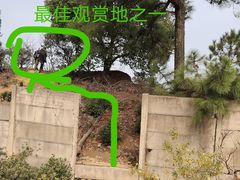-树山生态村