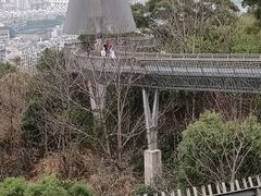 -福道