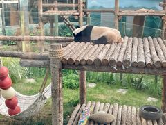 -大连森林动物园