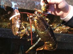 -海鲜e族(马王堆店)