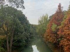 -同里国家湿地公园