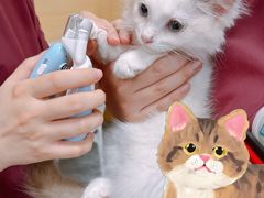 -美联众合爱康动物医院•复杂内科•肿瘤科•牙科•腔镜诊疗中心