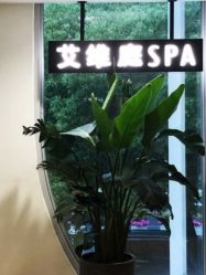 点击看大图 -艾维庭美学SPA
