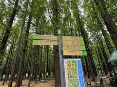 -日照海滨国家森林公园