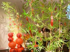 -绿茶餐厅(淮安吾悦广场店)
