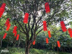 -云溪植物园
