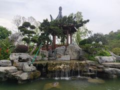 -东莞植物园