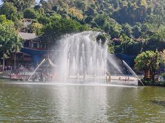 -西双版纳原始森林公园