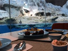 -帝企鹅自助餐厅•儿童岛•真企鹅(长隆企鹅酒店)