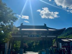-金龙寺国家森林公园