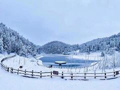 -武陵山森林公园