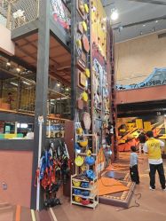 -卡通尼·Safari非洲探索乐园·生日会(金桥国际商业广场店)