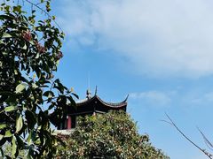 -杭州半山国家森林公园