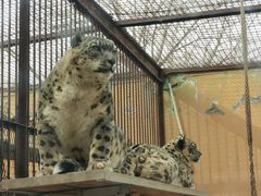 -青藏高原野生动物园