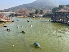 -无锡动物园·太湖欢乐园