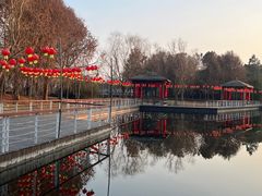 -同里国家湿地公园