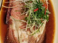 -皇朝会.经典传统粤菜(外滩店)