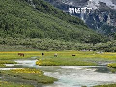 -秦皇岛秦皇国际大酒店