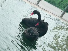 景观位-行者书屋大堂吧 ·下午茶(南京圣和府邸酒店)