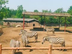 -西安秦岭野生动物园